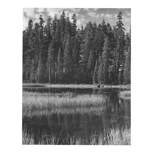 1960s Yosemite National Park Photograph by Don Ware
