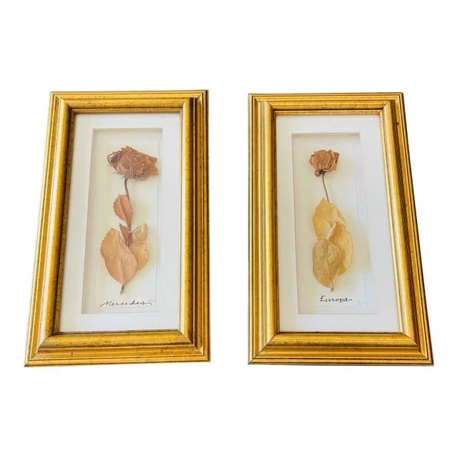 1970s Pair of Vintage Herbarium Roses, Framed