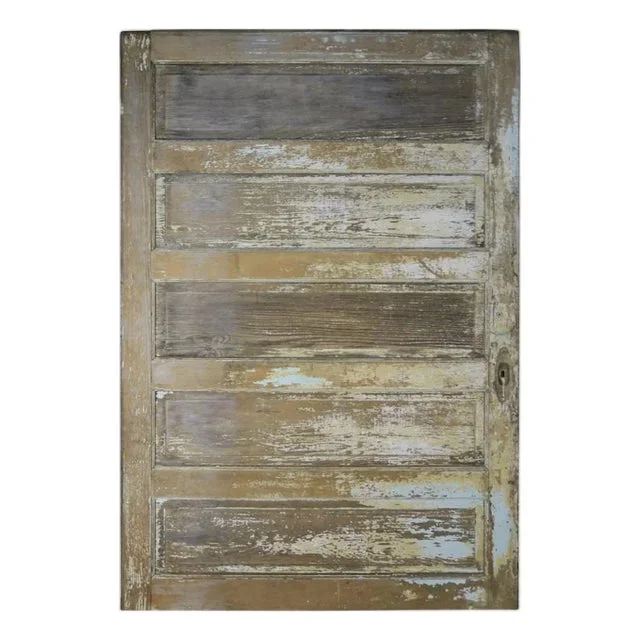 19th Century French Painted Barn Door