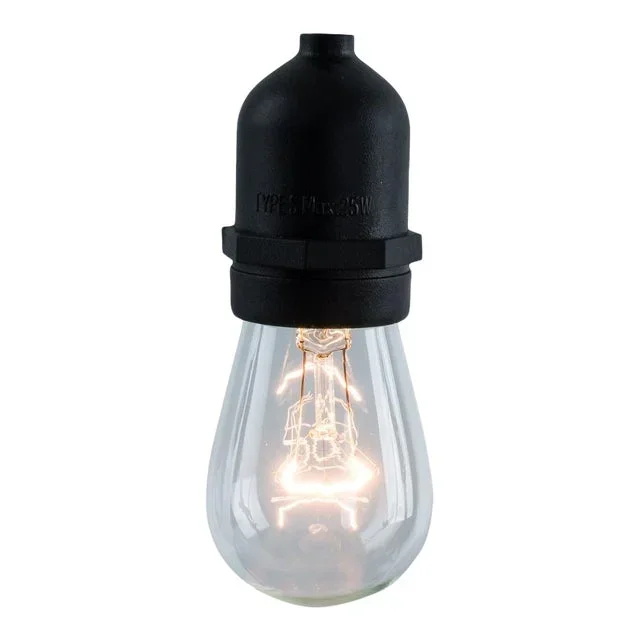 48′ Decorative Outdoor String Lights with Clear Incandescent 11 Watt Bulbs in Black