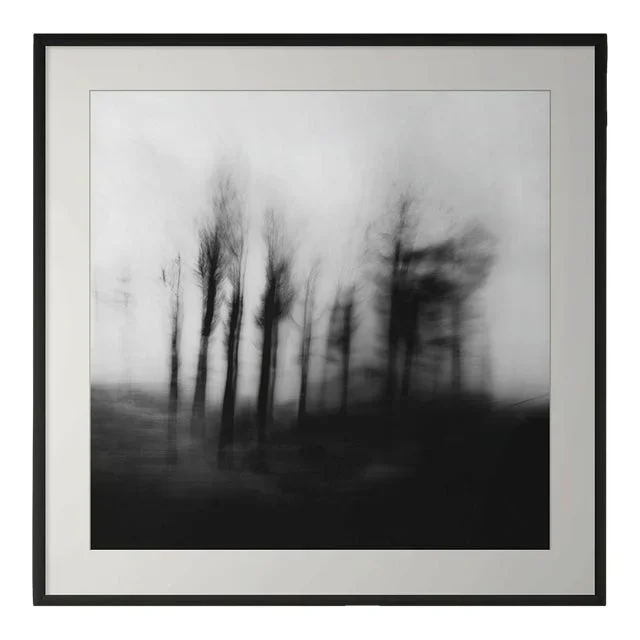 ‘Blurred Landscape’ #4 Black and White Photography