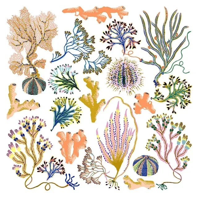 “Beach House Seaweed” Contemporary Giclee Print by Sarah Gordon – 18 X 18