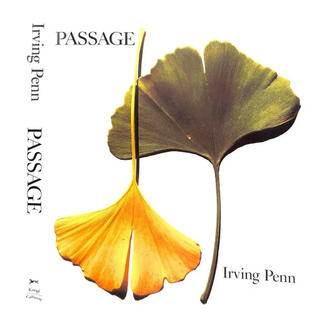 “Passage a Work Record” 1991 Penn, Irving (Signed)