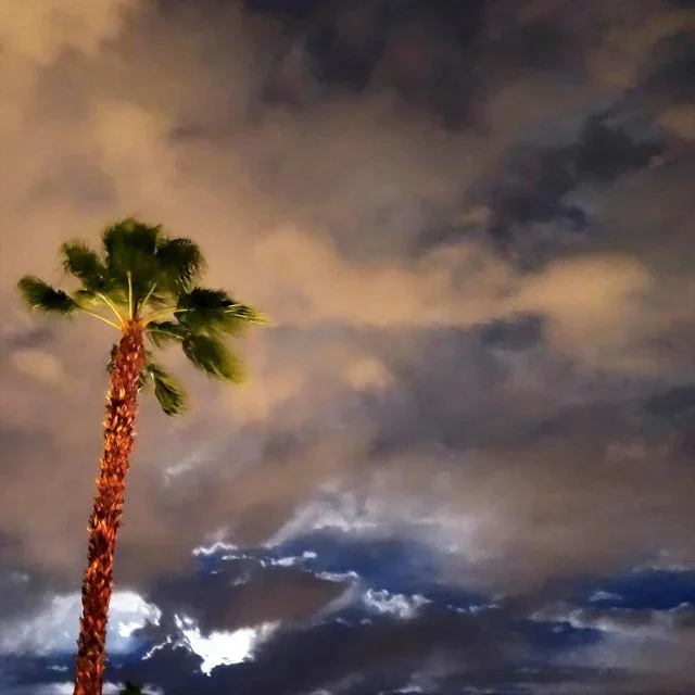 “Sentinel Palm” Contemporary Cloudscape Photograph Print