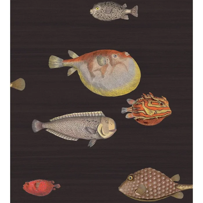 Acquario – Black & Mult