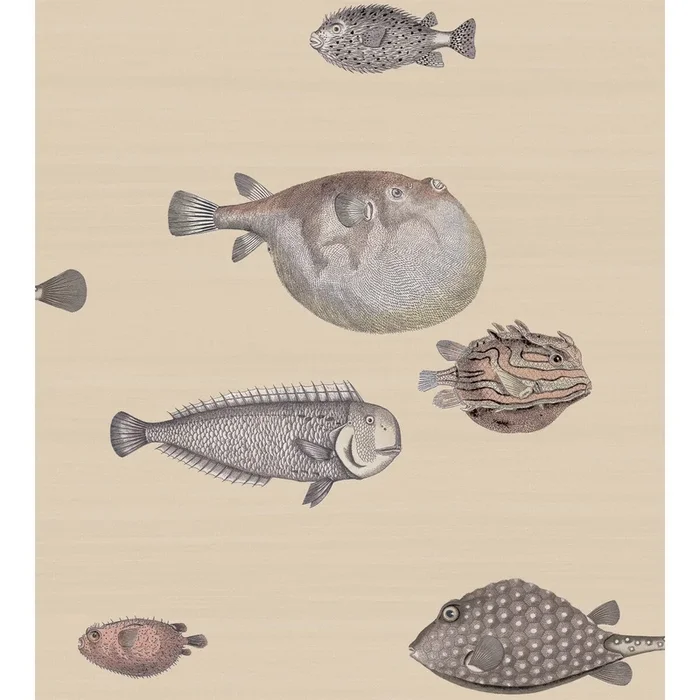 Acquario – Taupe