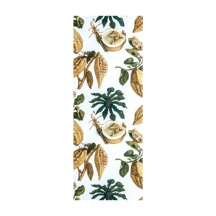 Amazonia – Original