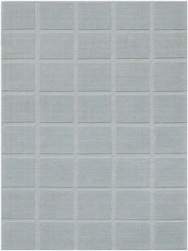 Amer Rugs Estella EST-7 Silver Gray Hand-woven Area Rugs