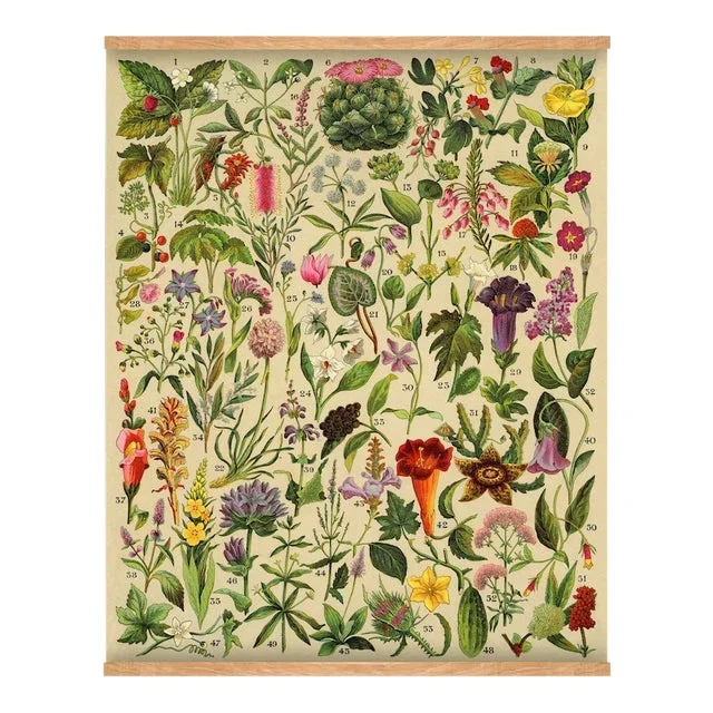 Antique ‘Spanish Botanical 2″ Wall Hanging