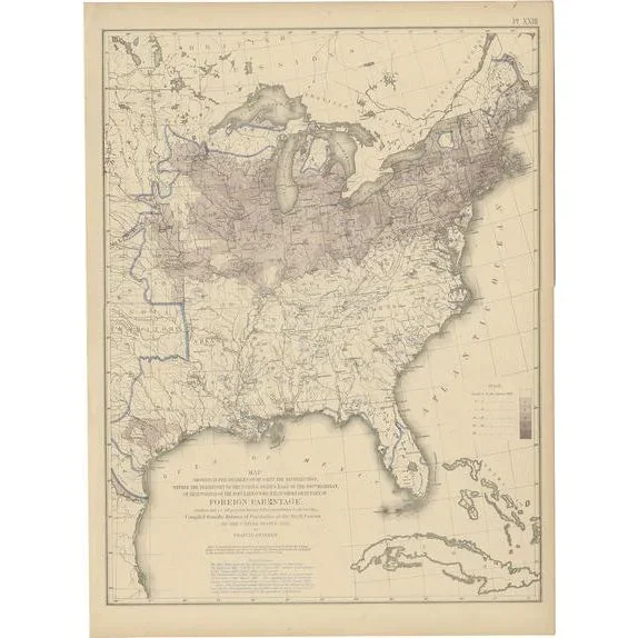 Antique Chart of the US Foreign Parentage, 1874
