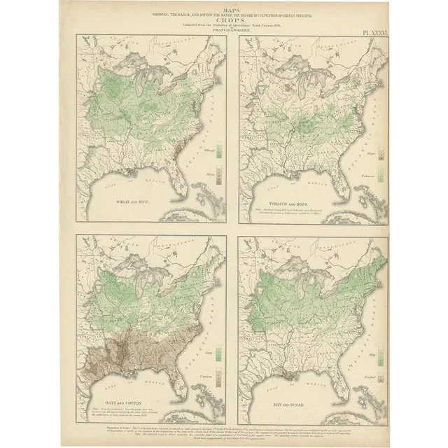 Antique Chart of US Crops, Wheat, Rice, Tobacco, Hops, and Oats, 1874