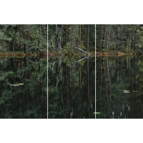 Bernhard Lang, deep_mirroring_forest_006 Triptych, Limited Edition Fine Art Photography, Set of 3