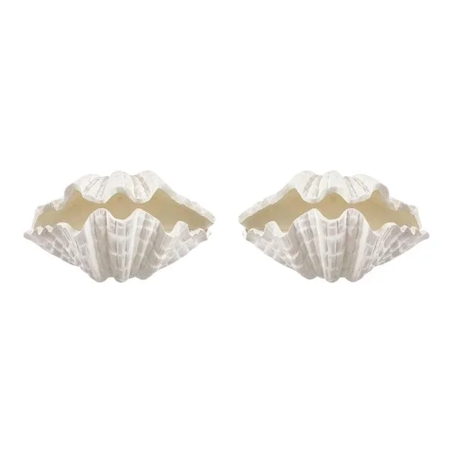Bespoke Coquillage Plaster Sconces – a Pair