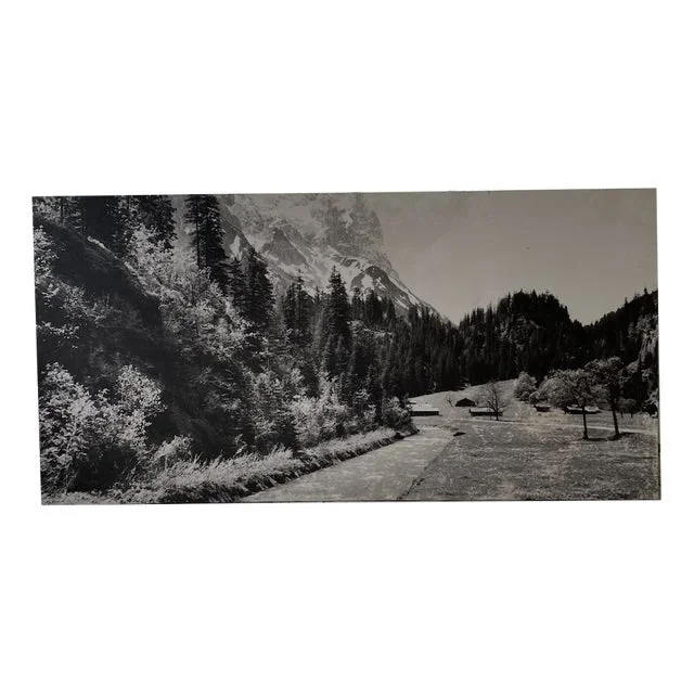 Black and White Mountain Photograph in Wood & Paper, 1970s