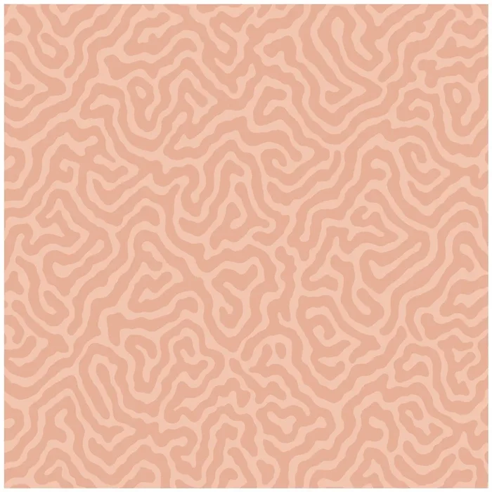 Coral – Salmon