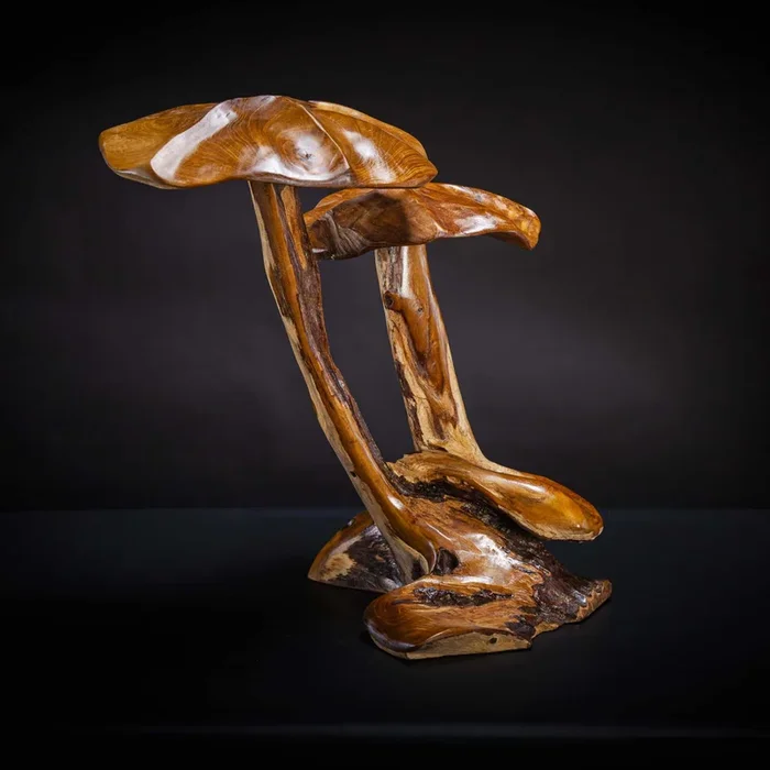 Double Mushroom Sculpture