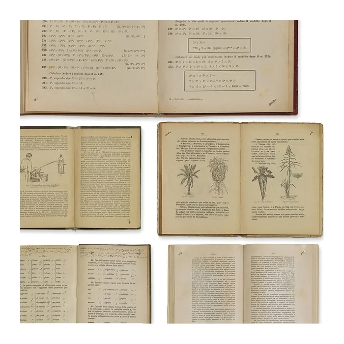 EKA-07 Biblioteca Wallpaper Sample Swatch