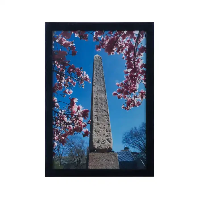 ELK Home Central Park Wall Art – 7011-1096