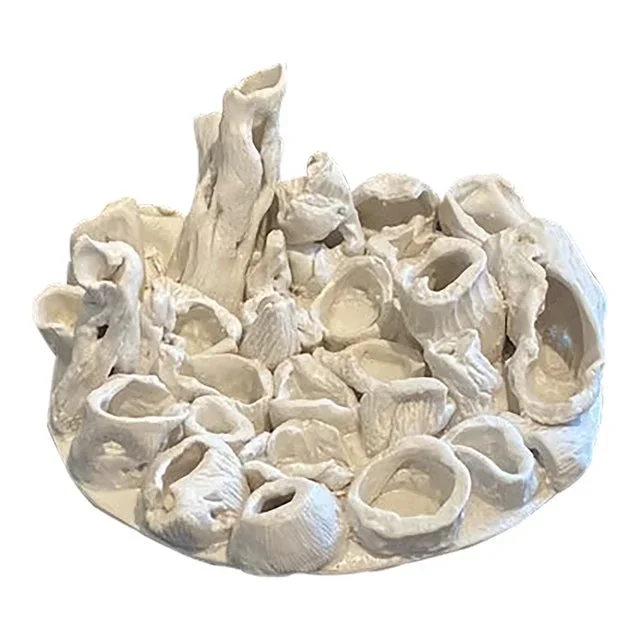 Faux Bleached Coral Pottery
