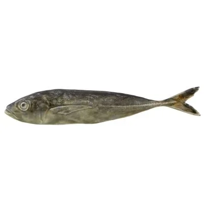 Fish And Shellfish Horse Mackerel by Bordallo Pinheiro