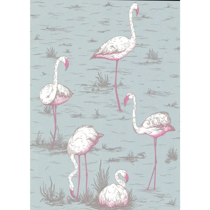 Flamingos – Oale Bl