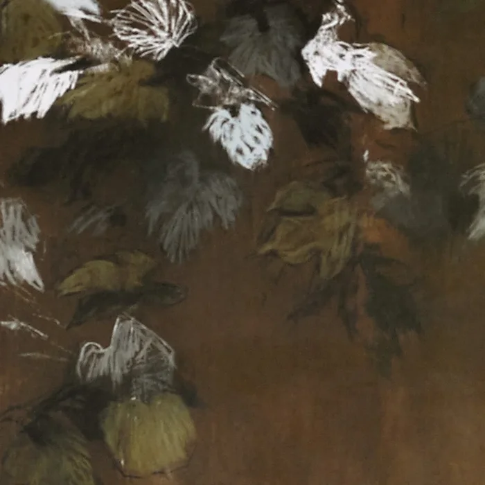 Foglie Di Vite – 21593