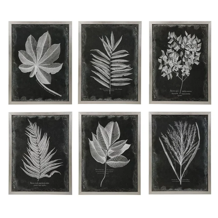 Foliage Framed Prints, Set of 6