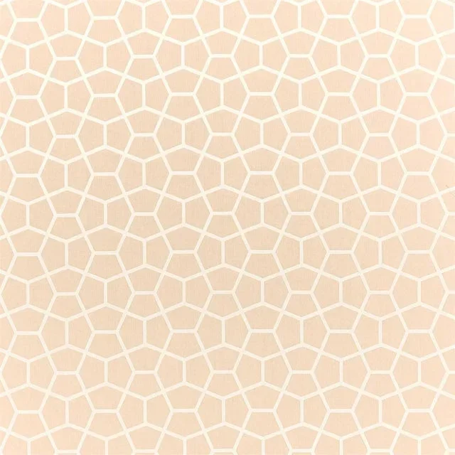Harlequin Glyptic Fabric in Buff – a Sample