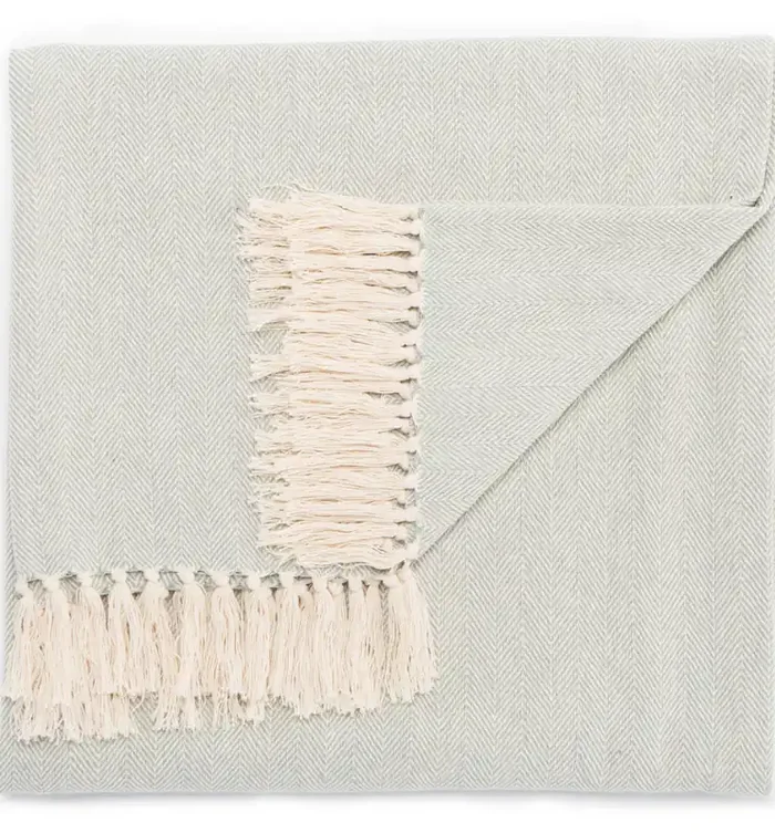 Jaipur Living Cannon Light Blue/ Cream Chevron Throw