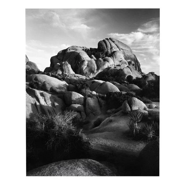 Jumbo Rocks California #2 – Analogue Black and White Desert Rocks 2023