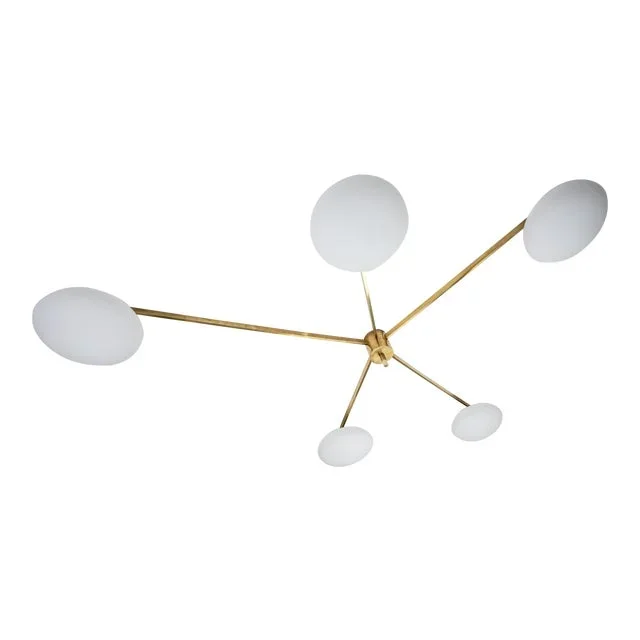 Lighting / Design for Macha Stella Starfish
