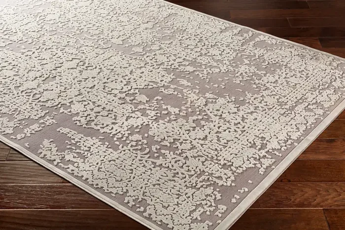 Livabliss Aesop ASP-2307 Traditional Machine Woven Area Rugs