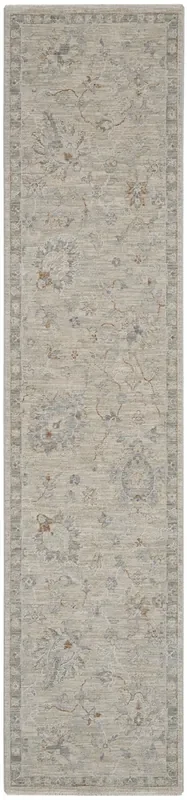 Nourison Asher Asr04 Lt Grey Area Rugs