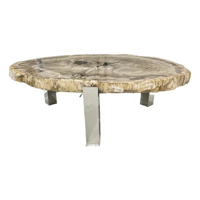 Organic Modern Petrified Wood Dundee Cocktail Table