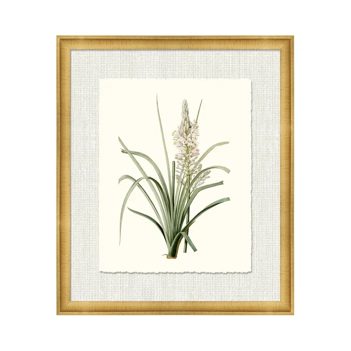 Petite Botanica Xii