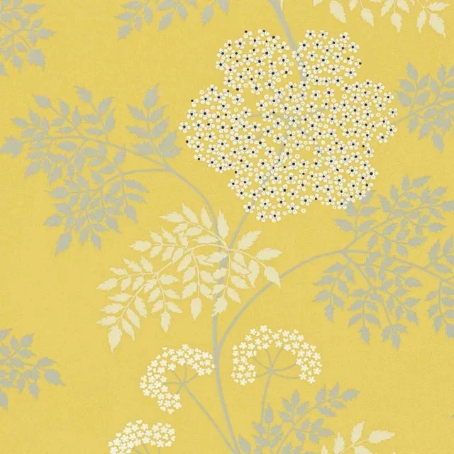Sanderson Cowparsley Wallpaper in Chinese Yello – a Sample
