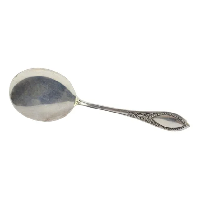 Silver Ice Cream Scoop with Grooves