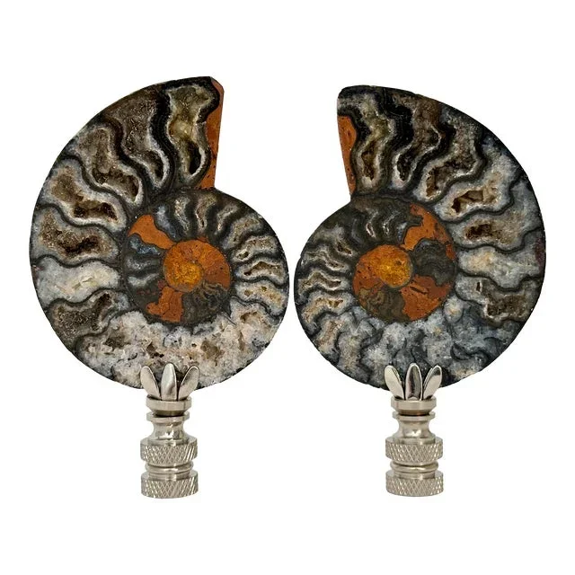Split Ammonite Fossil Lamp Finials on Chrome Hardware – a Pair