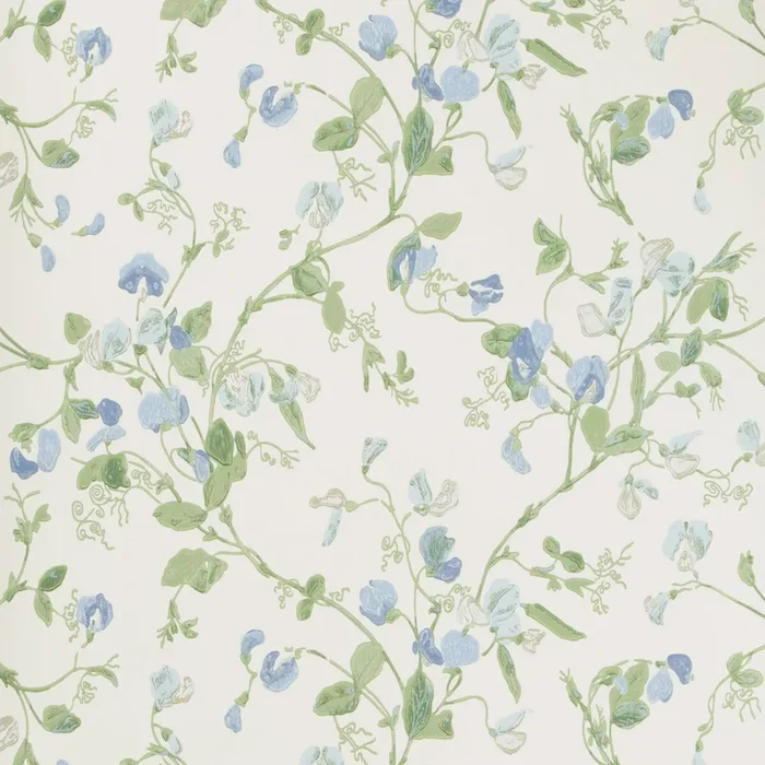 Sweet Pea – Blue