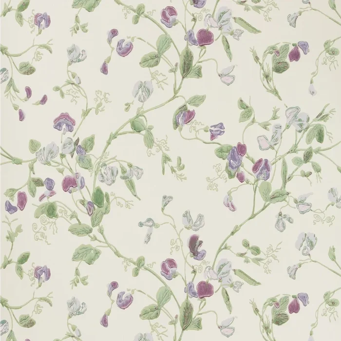 Sweet Pea – Violet