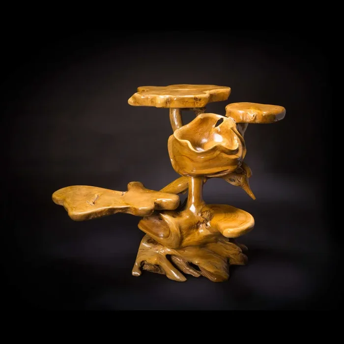 Teak Root Display With Bowl