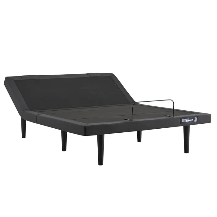 Tempur-Pedic Ergo ProSmart Base