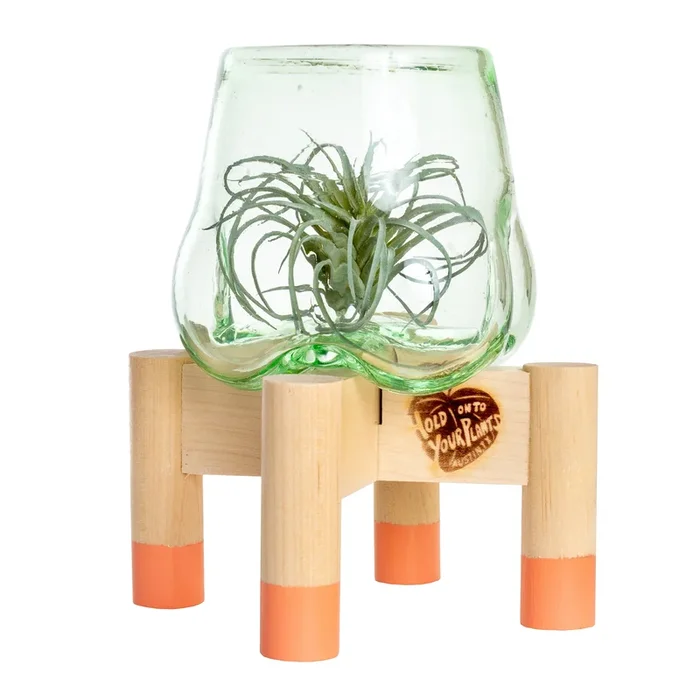 Terrarium and Coral Modern Stand, Mini