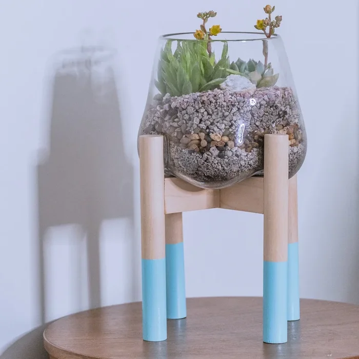 Terrarium and Robin’s Egg Modern Stand, Large