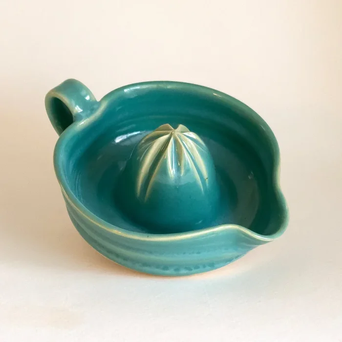Turquoise Citrus Juicer