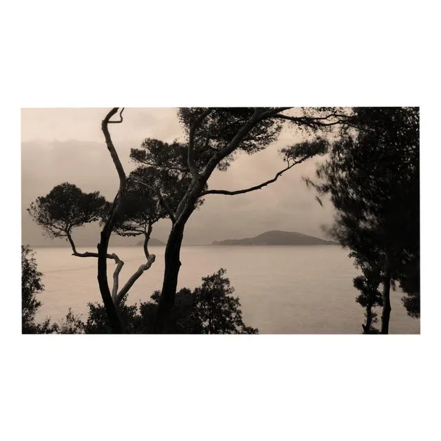 Ugne Pouwell, Currents, 2022, Photography