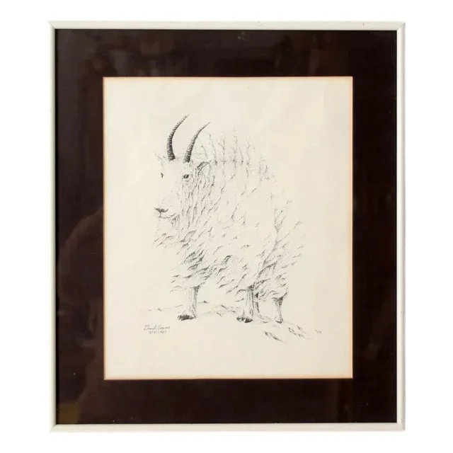 Vintage Framed Mountain Goat Drawing