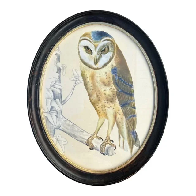 Vintage Original Owl Painting on Silk in Oval Frame