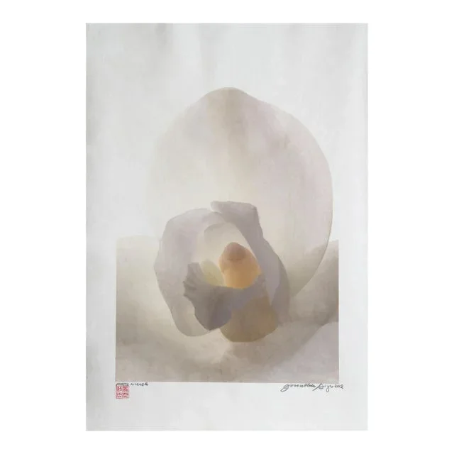 White Orchid, Jonathan Singer