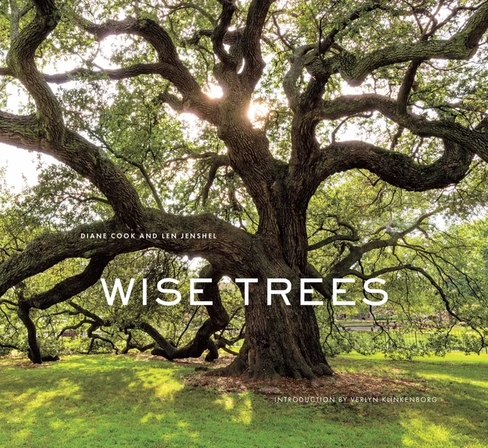 Wise Trees By Diane Cook and Len Jenshel